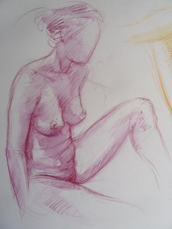 Cours de dessin crayon aquarellable