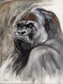 peinture à L'huile: portrait gorille