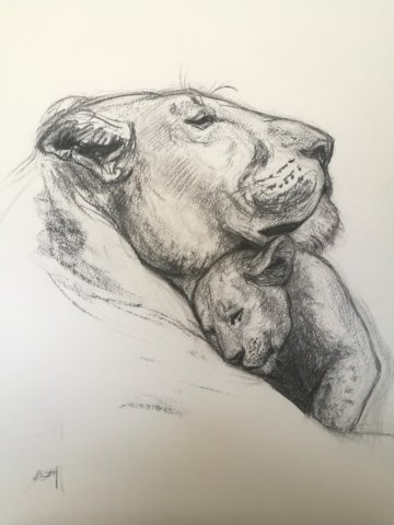 Instinct maternel, fusain sur papier blanc