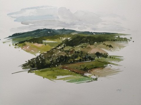 Aquarelle. Lot sur papier blanc