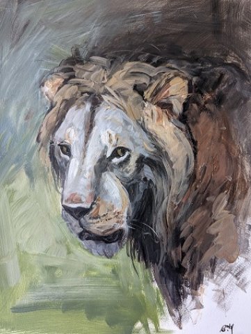 lion expérience