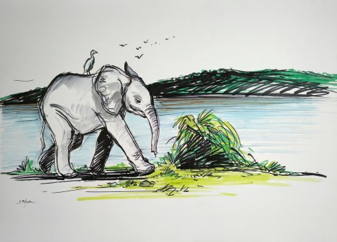 Eléphant